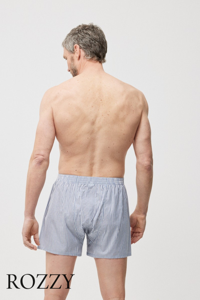 Трусы боксеры мужские Ysabel Mora 20302 серый