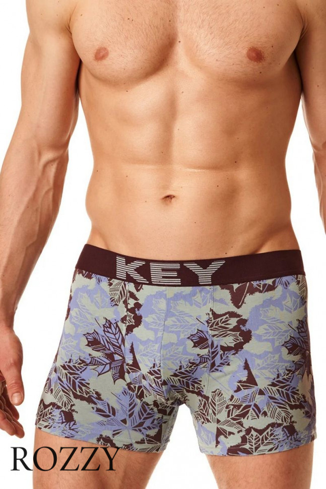 Трусы шорты мужские Key MXH 511 B22 голубой/коричневый