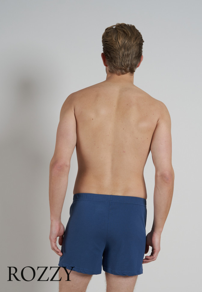 Трусы боксеры мужские Ceceba 002675/5XL-6XL синий (уп.2шт.)