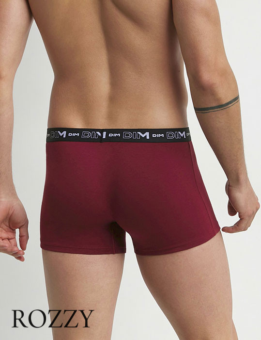 Трусы шорты мужские DIM 6596/3 мята/зеленый/бордо (уп.3шт.)