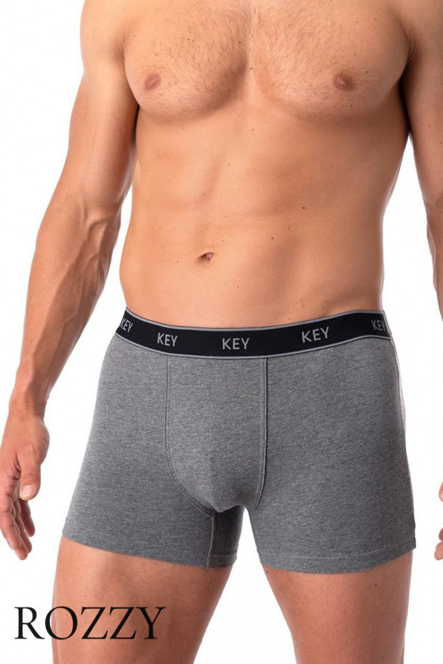 Трусы шорты мужские Key MXH 222 темно-серый