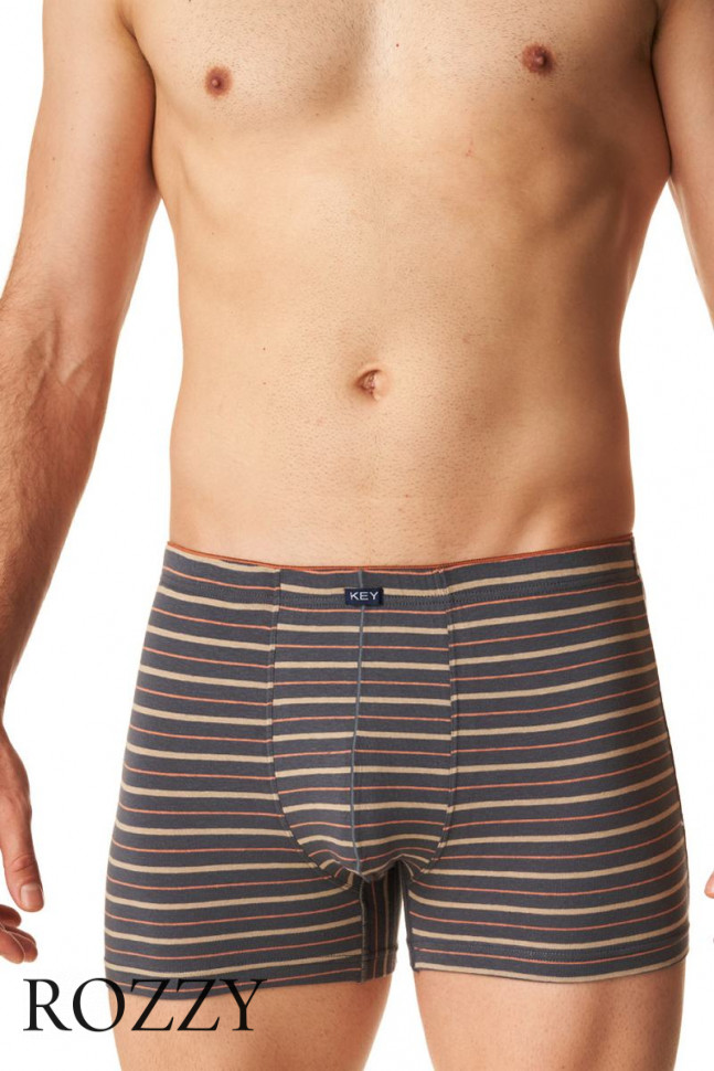Трусы шорты мужские Key MXH 303 серый/бежевый