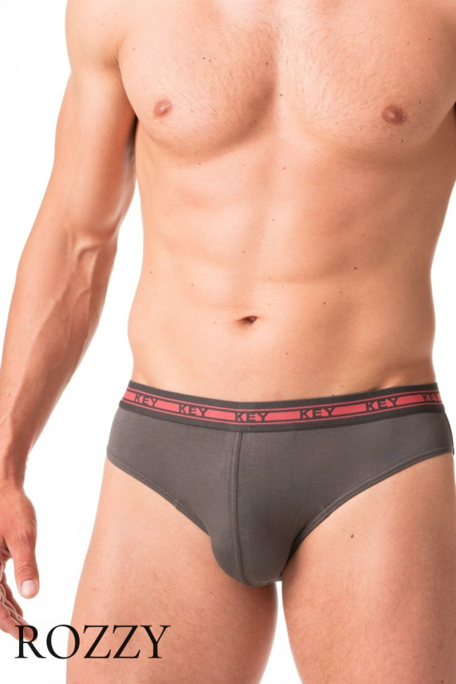 Трусы слипы мужские Key MPP 178 A24 графитовый/серый (уп.2шт.)