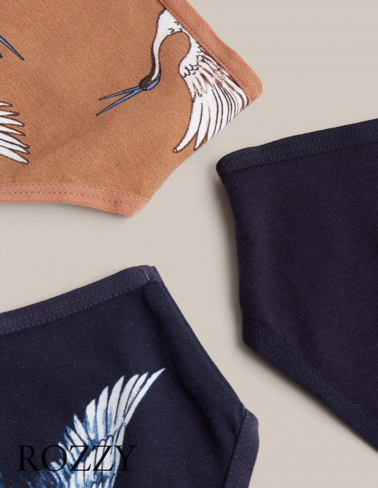 Трусы слипы хлопковые Esotiq Mia-Mia 42267 мультиколор (уп.3шт.)